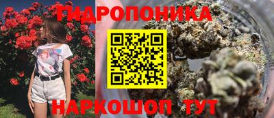 бошки Абинск