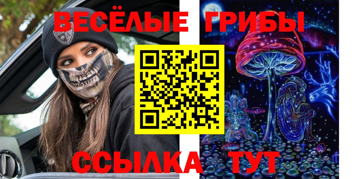 Псилоцибиновые грибы GOLDEN TEACHER Альметьевск