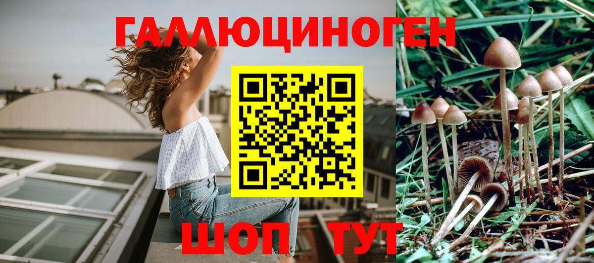 Альметьевск  Галлюциногенные грибы мухоморы  Вход с VPN  Галлюциногенные грибы Psilocybine cubensis 